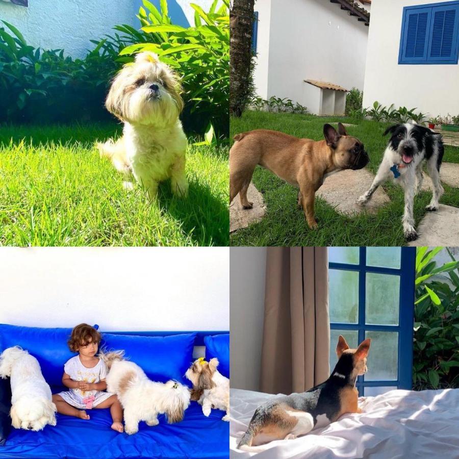 Suites Curta Paraty, Familia E Pets Exterior foto